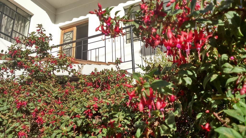 Posada Junco Y Capuli Huancayo Exterior foto